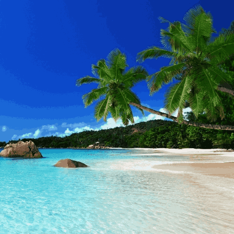 Gallery image for Tropical Island